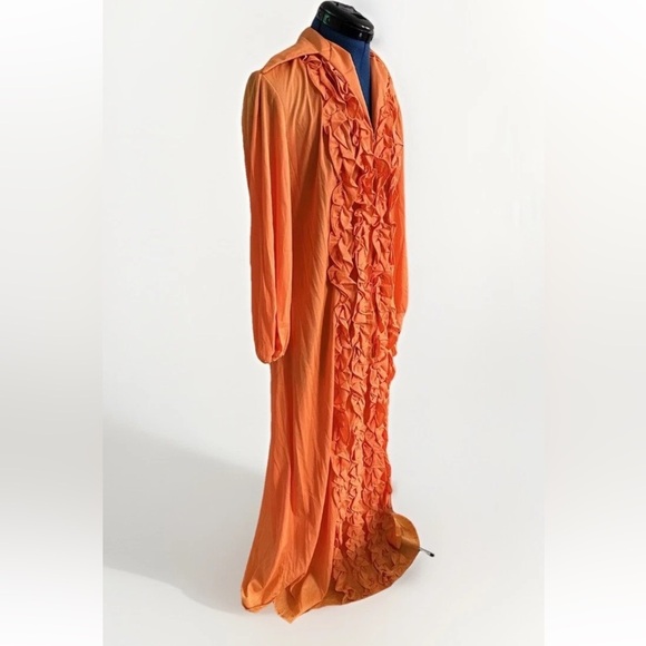 vintage 70s 80s orange zip up chiffon ruffle pleated maxi dress - Picture 6 of 10